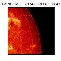 gong - 2024-06-03T03:00:42