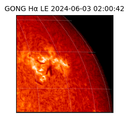 gong - 2024-06-03T02:00:42