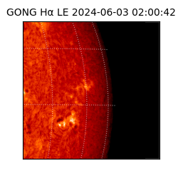 gong - 2024-06-03T02:00:42