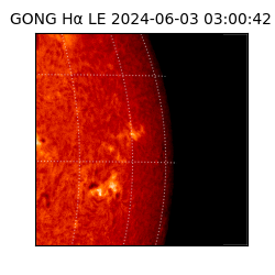 gong - 2024-06-03T03:00:42