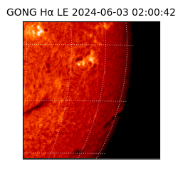 gong - 2024-06-03T02:00:42