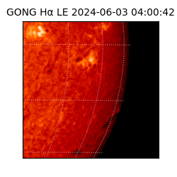 gong - 2024-06-03T04:00:42