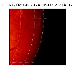 gong - 2024-06-03T23:14:02