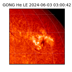 gong - 2024-06-03T03:00:42