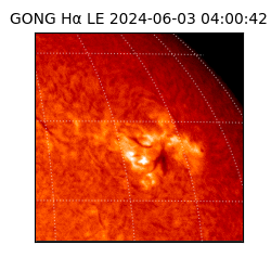 gong - 2024-06-03T04:00:42