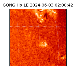 gong - 2024-06-03T02:00:42
