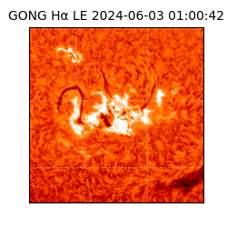 gong - 2024-06-03T01:00:42