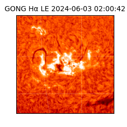 gong - 2024-06-03T02:00:42