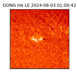 gong - 2024-06-03T01:00:42