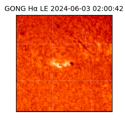 gong - 2024-06-03T02:00:42