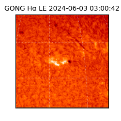 gong - 2024-06-03T03:00:42