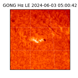 gong - 2024-06-03T05:00:42