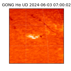 gong - 2024-06-03T07:00:02