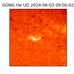 gong - 2024-06-03T09:00:02