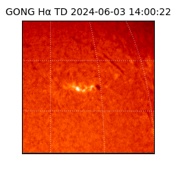 gong - 2024-06-03T14:00:22