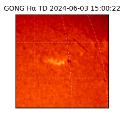 gong - 2024-06-03T15:00:22