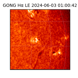 gong - 2024-06-03T01:00:42