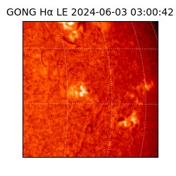 gong - 2024-06-03T03:00:42
