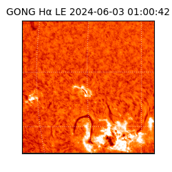 gong - 2024-06-03T01:00:42