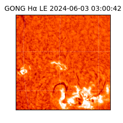gong - 2024-06-03T03:00:42