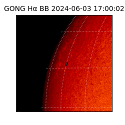 gong - 2024-06-03T17:00:02