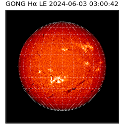 gong - 2024-06-03T03:00:42