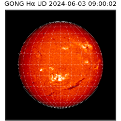 gong - 2024-06-03T09:00:02