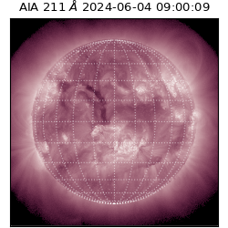 saia - 2024-06-04T09:00:09.626000