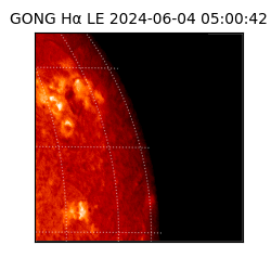 gong - 2024-06-04T05:00:42