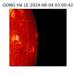gong - 2024-06-04T03:00:42