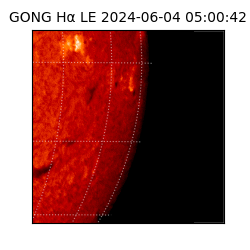 gong - 2024-06-04T05:00:42