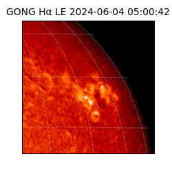 gong - 2024-06-04T05:00:42