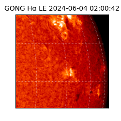 gong - 2024-06-04T02:00:42