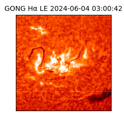 gong - 2024-06-04T03:00:42