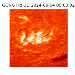 gong - 2024-06-04T09:00:02