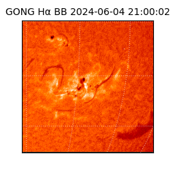 gong - 2024-06-04T21:00:02