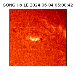 gong - 2024-06-04T05:00:42