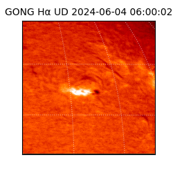 gong - 2024-06-04T06:00:02