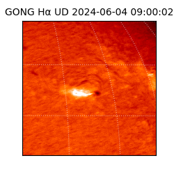 gong - 2024-06-04T09:00:02