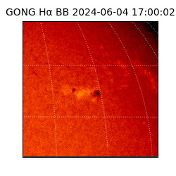 gong - 2024-06-04T17:00:02