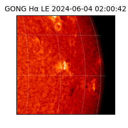 gong - 2024-06-04T02:00:42