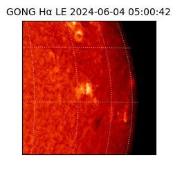 gong - 2024-06-04T05:00:42