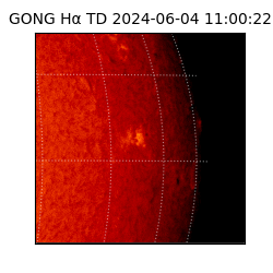 gong - 2024-06-04T11:00:22