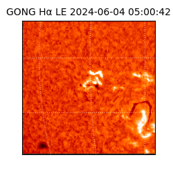 gong - 2024-06-04T05:00:42