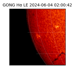 gong - 2024-06-04T02:00:42