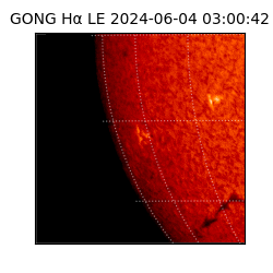 gong - 2024-06-04T03:00:42