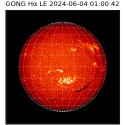 gong - 2024-06-04T01:00:42