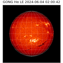 gong - 2024-06-04T02:00:42