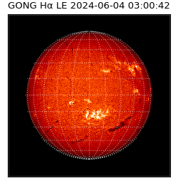 gong - 2024-06-04T03:00:42