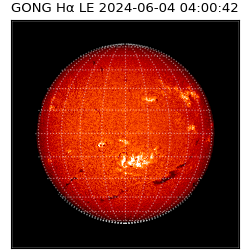 gong - 2024-06-04T04:00:42